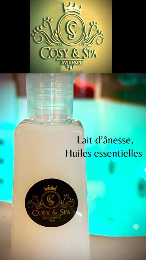 Cosy & Spa Appartement Luxe Jacuzzi Sauna Suite Cristal Avignon Buitenkant foto
